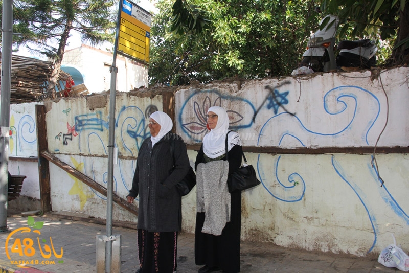 mosneedn ra2edaga (16).JPG